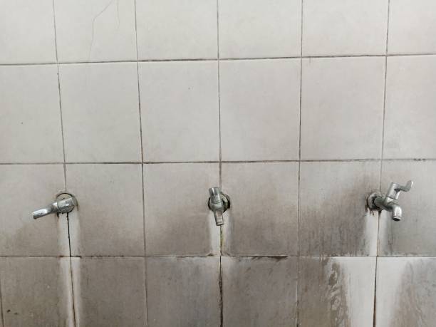 Best Sewage Cleanup and Restoration in USA